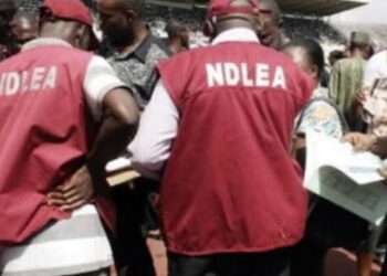 NDLEA nabs notorious drug kingpin, 5 others over pilgrims detained in Saudi Arabia