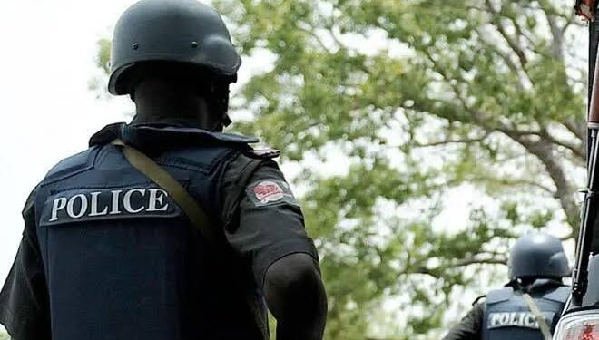 PSC sacks four senior police officers, demotes 10 over ‘misconduct’